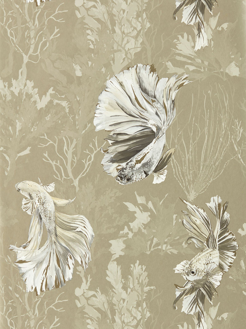 Harlequin Brown Halfmoon wallpaper 10.05m, imported from the UK