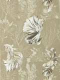 Harlequin Brown Halfmoon wallpaper 10.05m, imported from the UK