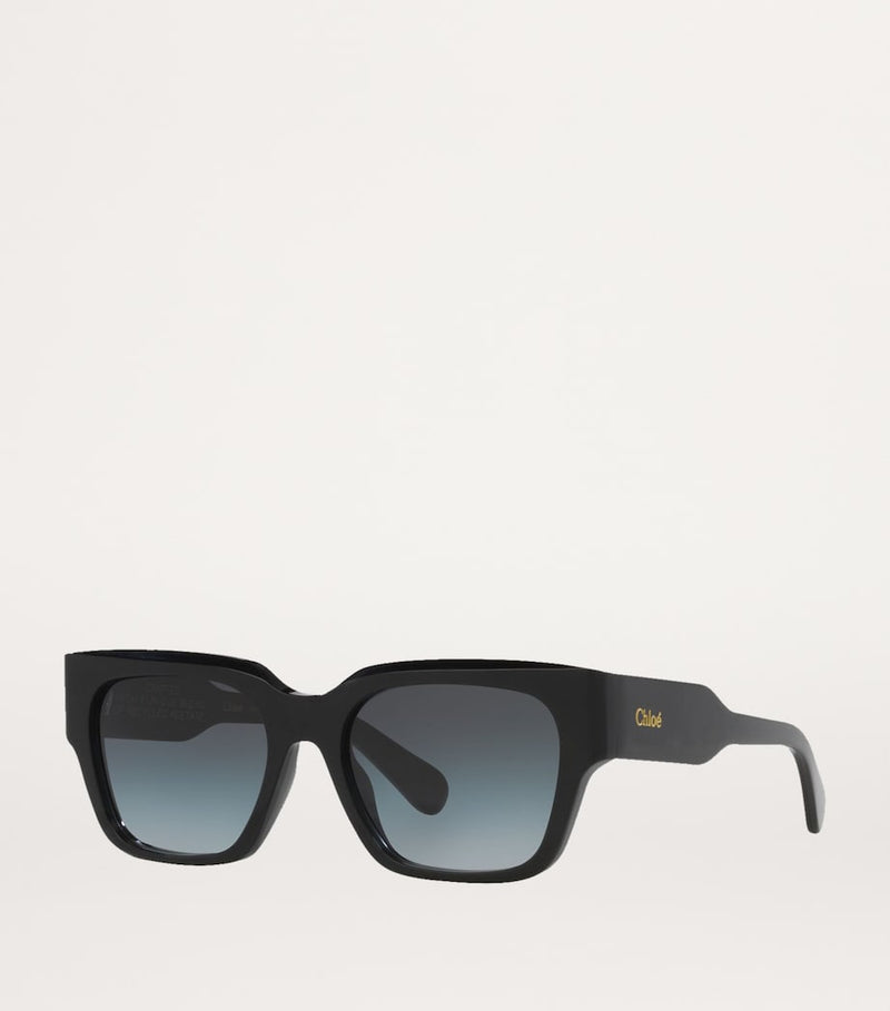 Chloé acetate sunglasses (British brand)