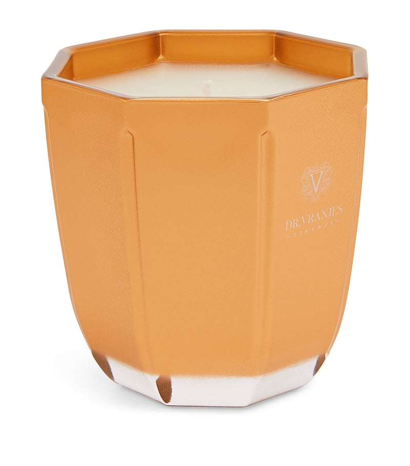 Dr. Vranjes Oud Nobile scented candle 200g - British product