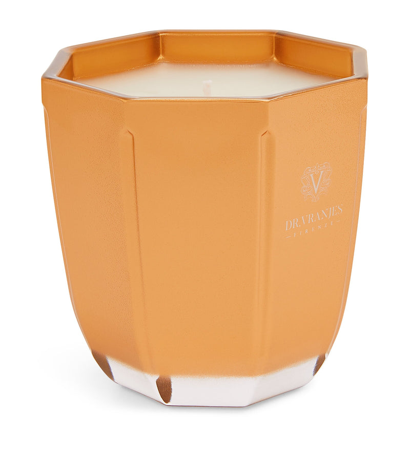 Dr. Vranjes Oud Nobile scented candle 200g - British product