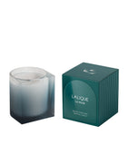 Lalique La Muse scented candle 220g, UK version