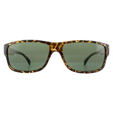 Timberland sunglasses TB9064 dark Havana green - British product
