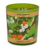 Harrods Dolce&Gabbana Casa Arancio Di Sicilia Scented Candle (250g)- Buy online at McGrocer