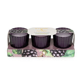 Superdrug Candlelight Set of 3 Ribbed Mini Candles - Blackberry & Fig Tree- Buy online at McGrocer