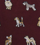 Paul Smith dog socks with playful canine patterns (British brand)