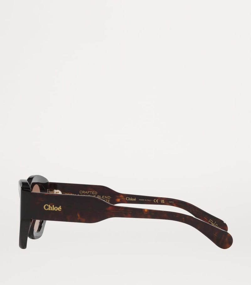 Chloé Acetate CH0220S Sunglasses - British product