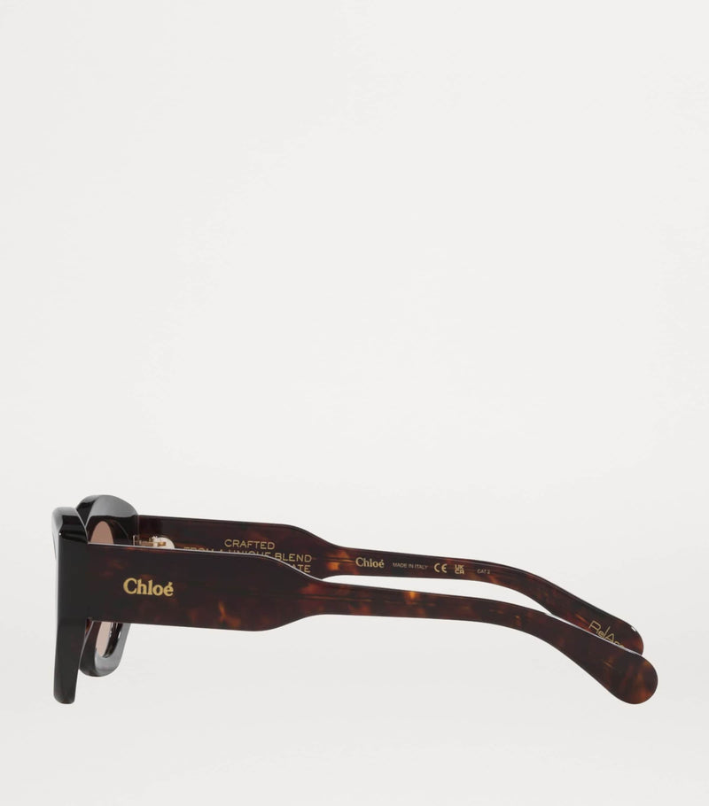 Chloé Acetate CH0220S Sunglasses - British product