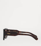 Chloé Acetate CH0220S Sunglasses - British product