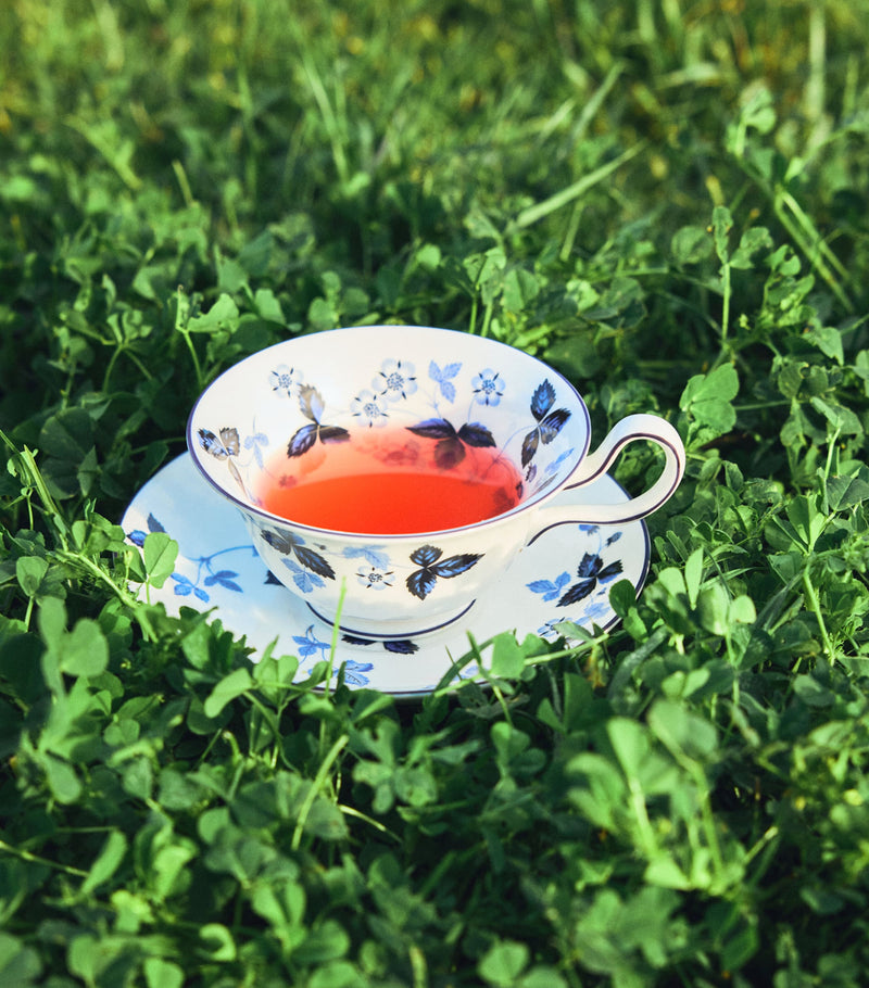 Wedgwood Wild Strawberry Inky Blue teacup and saucer set of 2 (British brand)