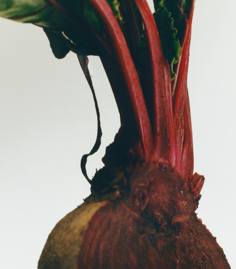 LOEWE Medium Beetroot Scented Candle, UK version