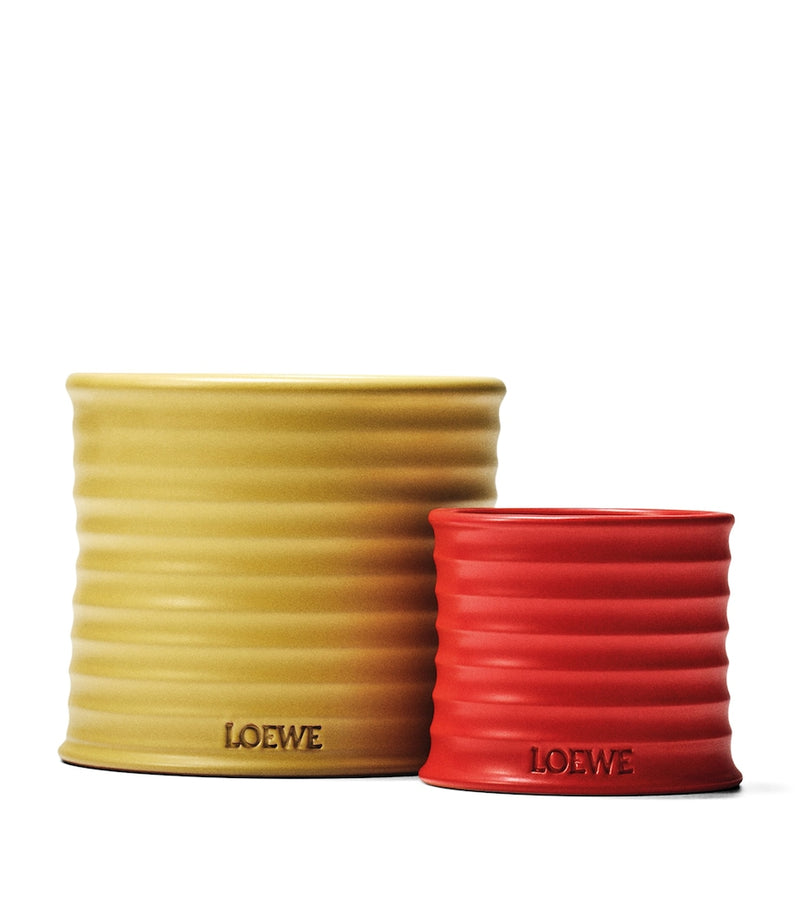 LOEWE Small Honeysuckle Scented Candle, UK version