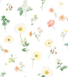 Schlossberg cotton sateen Oxford pillowcase 50x75cm, UK version