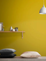 Next Graham & Brown Toucan Yellow Matt Emulsion Paint Tester- Buy online at McGrocer