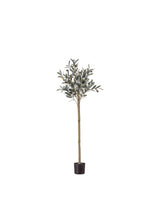 Next Gallery Home Medium Olive Tree Artificial Indoor Plant in Pot- Buy online at McGrocer