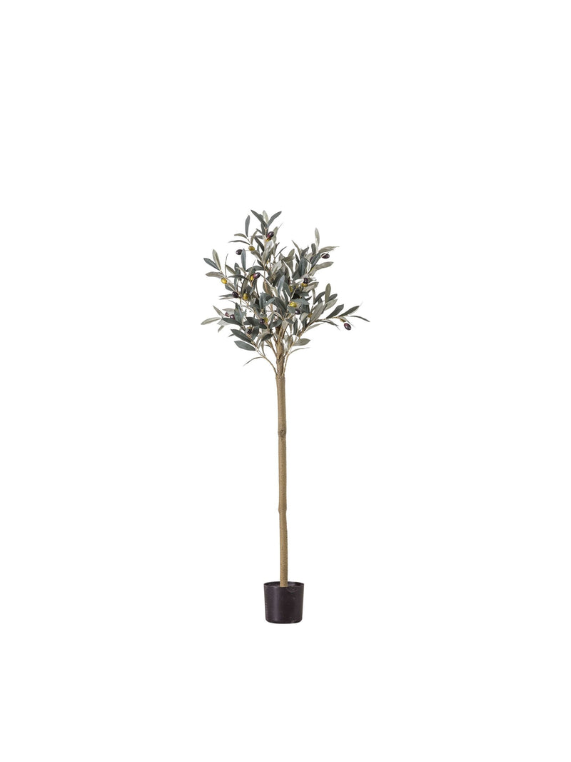 Gallery Home medium artificial olive tree in pot, UK version