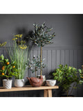 Gallery Home medium artificial olive tree in pot, UK version