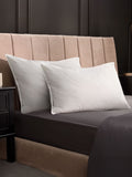 Silentnight Medium Platinum Hungarian Goose Feather and Down White Pillow (British brand)