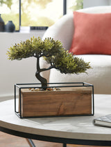 Next Bronx Green Artificial Bonsai Tree in Wood Pot - Indoor Plant Decor 25.5cm- Buy online at McGrocer