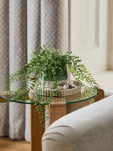 Next Green Artificial Trailing Plant in Reactive Ceramic Pot 33cm- Buy online at McGrocer