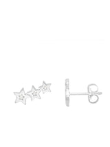 Estella Bartlett Silver Tone Cubic Zirconia Star Stud Crawler Earrings