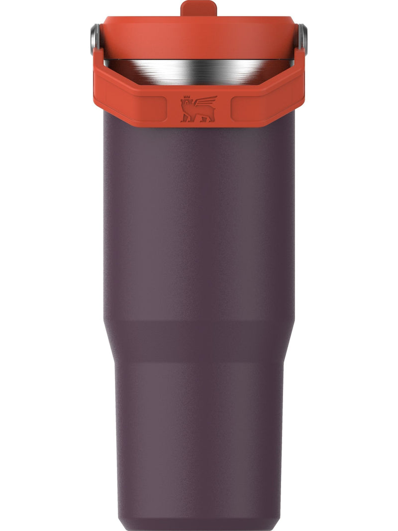 Isolierter Trinkbecher mit Klapp-Trinkhalm Wasserflasche 0,89L