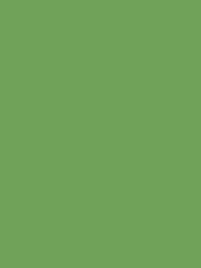 Cath Kidston paint Magic Beans Green 2.5L (British brand)