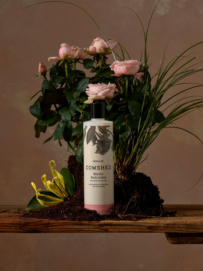 Cowshed Indulge body lotion 300ml - British product