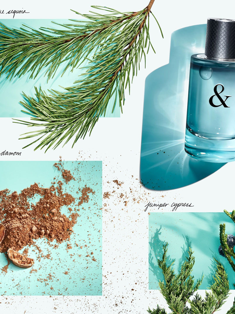 Tiffany & Co. Tiffany & Love for Him Eau de Toilette (British brand)