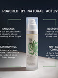PAI Bonne Nuit Renewal Night Cream 50ml, imported from the UK