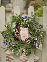 Next Dibor Green Fruits Evergreen Wreath 53cm- Buy online at McGrocer