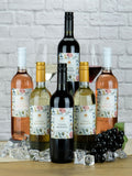 Milani mixed case of Italian wines 6x750ml bottles, UK version