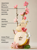 Bath & Body Works Japanese Cherry Blossom body cream 226g - British product