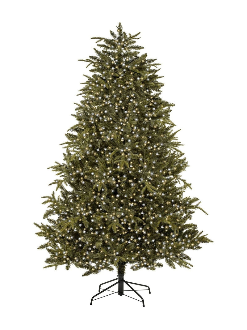 Premier Decorations Tree Brights 37.5m LED Christmas lights - British product