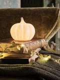 Lights4fun ceramic pumpkin trio with LED lights - British product