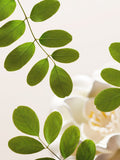 Rituals Namaste Velvety Smooth Cleansing Foam 125ml, imported from the UK