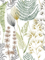 Next Ohpopsi Earth Summer Ferns 10m Wallpaper- Buy online at McGrocer