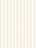 Ohpopsi chalk bloc stripe wallpaper 10m - British product