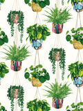 Ohpopsi Parakeet Houseplant wallpaper 10m, imported from the UK