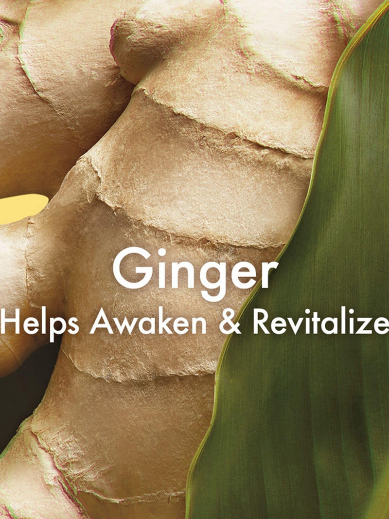 Origins Ginger Essence Sensuous Skin Scent body spray, imported from the UK