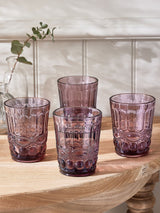 Next Dibor Aurielle Embossed Tumbler Glasses Pink 4 Pack- Buy online at McGrocer