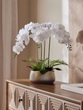 White artificial real touch orchid in reactive ceramic pot 60cm (British brand)