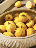 Lemon and Bergamot Fruity Potpourri for home fragrance, UK version