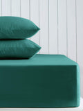 Teal blue cotton rich fitted bed sheet (British brand)