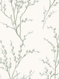 Laura Ashley wallpaper sample sage green Pussy Willow A4, imported from the UK