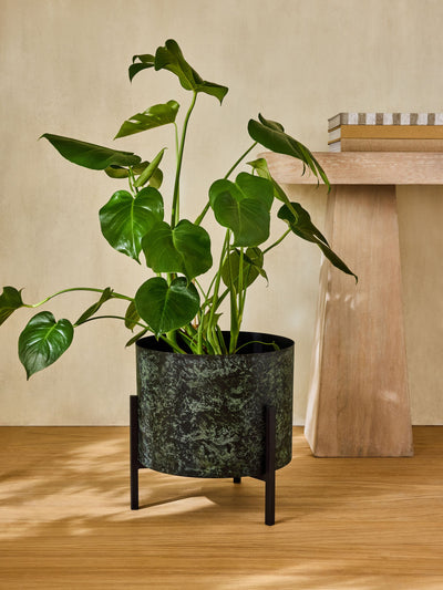 Next French Connection Green/Black Patina Medium Metal Stand Plant Pot- Buy online at McGrocer