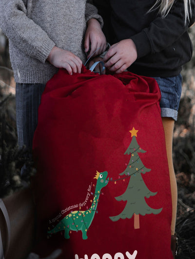 Next Solesmith 100% Cotton Personalised Dinosaur Christmas Sack- Buy online at McGrocer