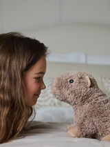 Next Warmies Fully Heatable Capybara Soft Toy- Buy online at McGrocer