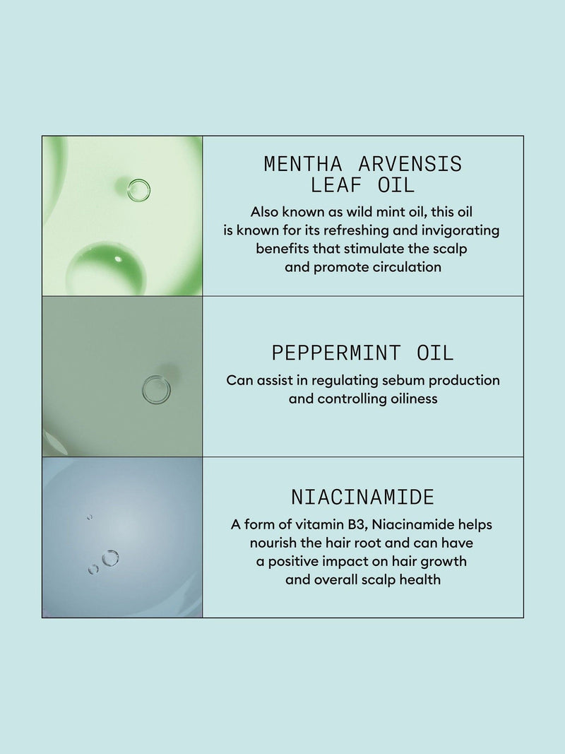 Nioxin Scalp Recovery System Kit, imported from the UK