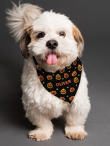 Next PMC Personalised Pumpkin Patch Dog Bandana- Buy online at McGrocer